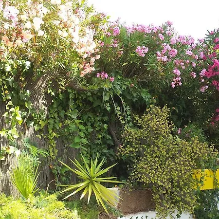 La Gaspara's Loft Апартаменты